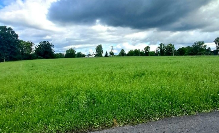 działka na sprzedaż - Pawłowice, Warszowice